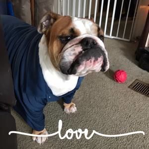 Meet your Posher, Jo